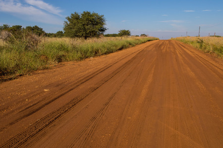 Rural African landscape with a dirt road that leads to the distant horizon image with copy space in landscape formatの写真素材