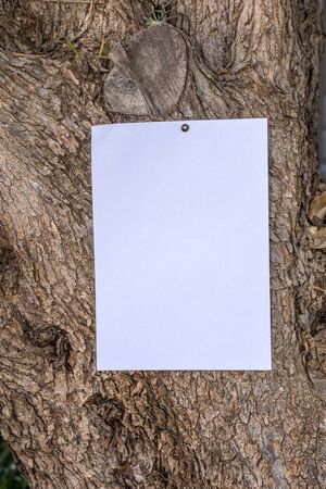 A blank white sign - insert own text - tagged to the trunk of a tree outdoors image in vertical formatの写真素材