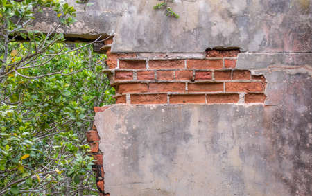 Exposed brickwork and cracked cement in a dilapidated old building image in horizontal formatの写真素材