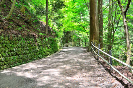 Kyoto Kurama-Dera Templeの写真素材