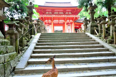 NARA Kasuga Taisha Shrineのeditorial素材