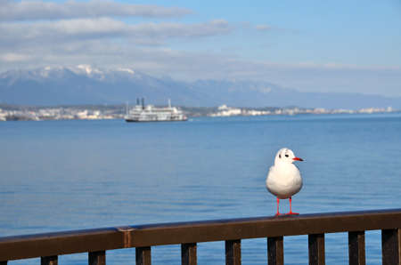 Lake Biwaの写真素材