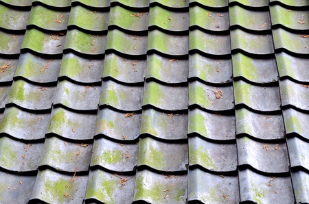 Tile roof