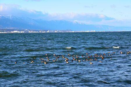 Lake Biwaの写真素材