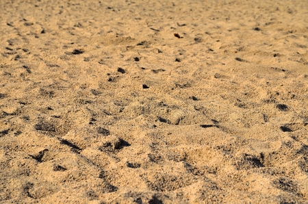 Sandyの写真素材