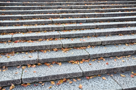 Stairs and fallen leaves