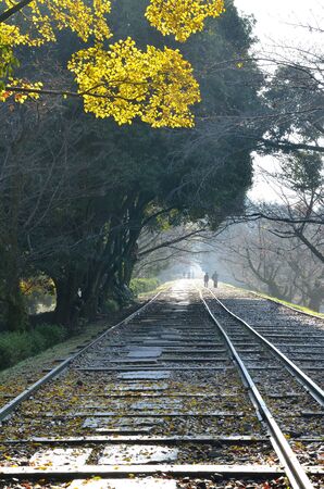 Kyoto inclineのeditorial素材