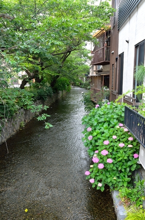Takase River in Kyotoの写真素材