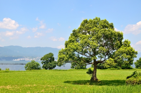Lake Biwa Lakesideの写真素材