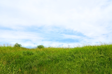 Landscape along the Yodogawaの写真素材