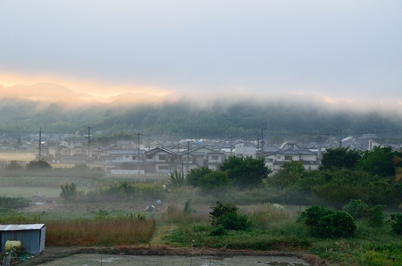 Early morning countryside sceneryの写真素材