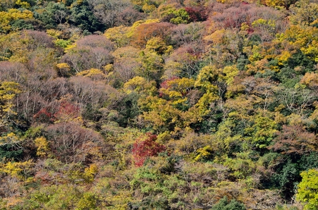 Autumn landscapes