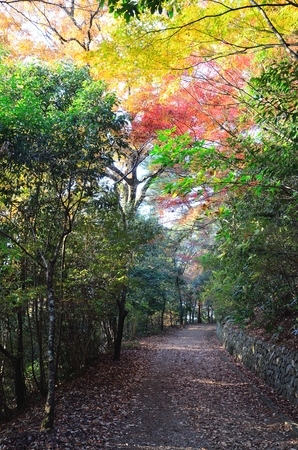 Daikichiyama in Kyotoの写真素材