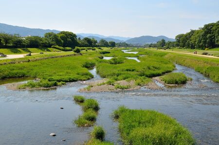 Kamogawa in Kyotoの写真素材