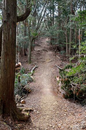 Shiga's Tokai Nature Trailの写真素材