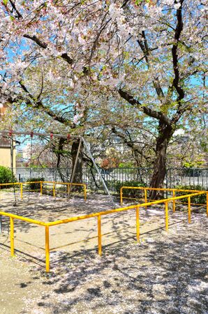 Kyoto's Pontocho Parkの写真素材