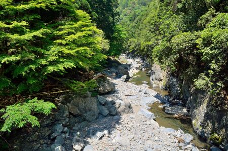 Kiyotaki River in Kyotoの写真素材