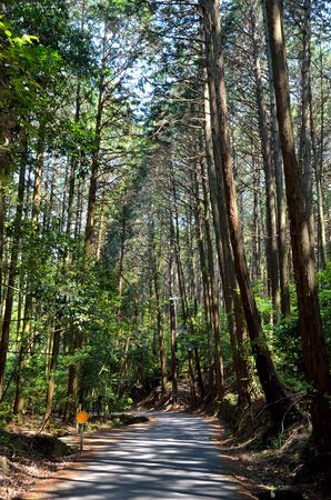 Kyoto Trailの写真素材