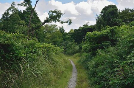 Tokai nature trailの写真素材