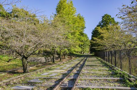 Incline in Kyotoの写真素材