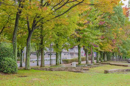 Otsu Nagisa Park in Shigaの写真素材
