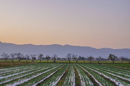 Countryside landscape at sunsetの写真素材