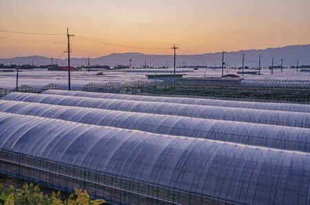 Green Houseの写真素材