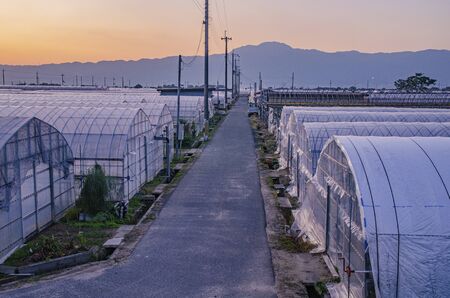 Green Houseの写真素材