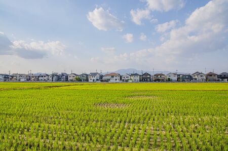 Residential areaの写真素材