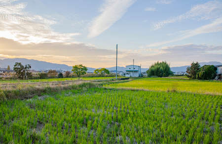 Countryside in Shiga Prefectureの写真素材