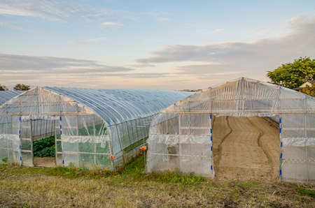Green Houseの写真素材