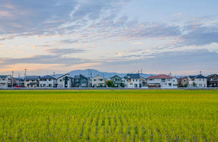 Residential areaの写真素材