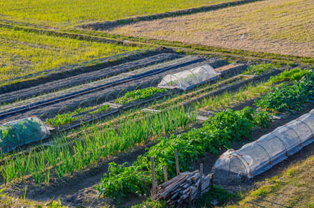 Fieldの写真素材