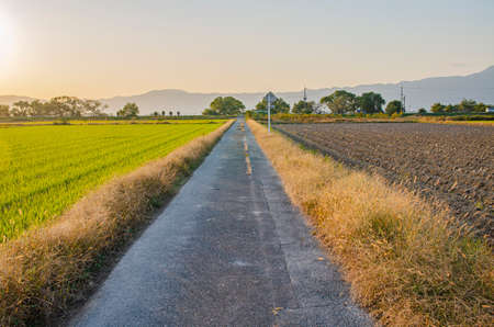 Countryside in Shiga Prefectureの写真素材
