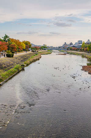 Kamogawa in Kyotoの写真素材