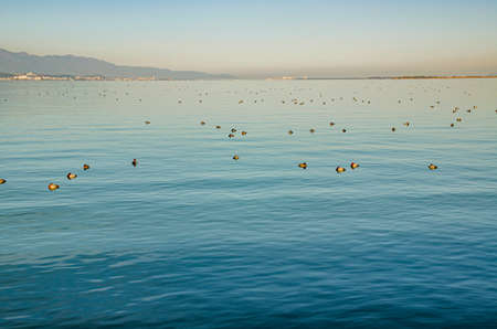 Shiga Lake Biwa in winterの写真素材