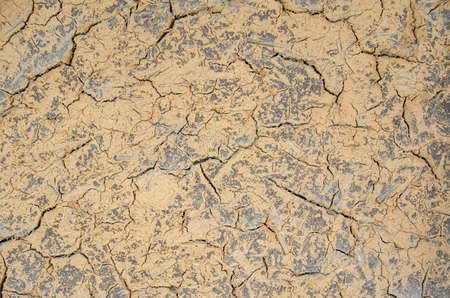 cracks in the ground