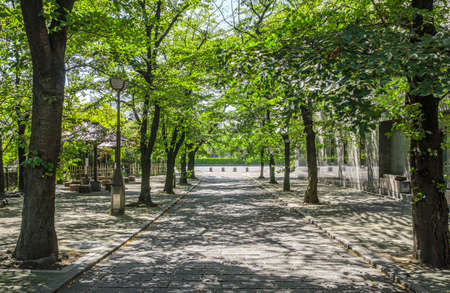 Streets along the Shirakawa River in Kyotoの写真素材