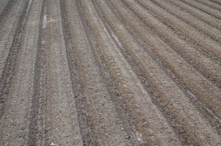 Fieldの写真素材