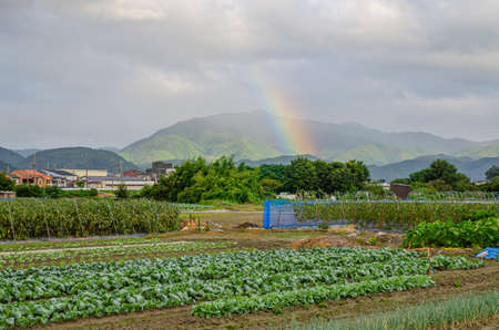 Countryside scenery and rainbowの写真素材