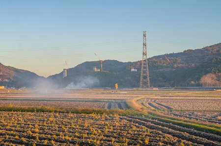 Rural scenery and wild burning