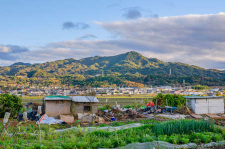 Countryside