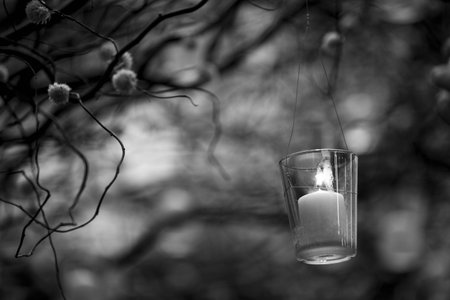 candle light in the glass hold on the tree.の写真素材