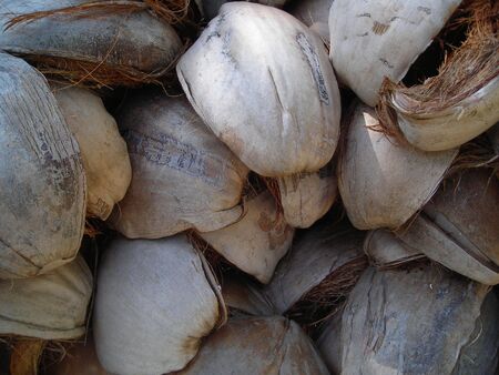 Closeup of coconut husks, good for copyspace