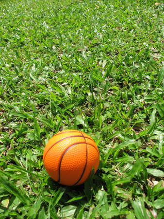A lone basketball found lying on the grass fieldの写真素材