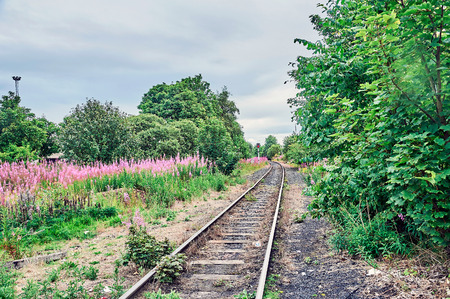 Edinburgh, View of the city, Several monuments and the Castle,の写真素材