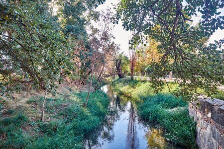 Views of the River Henares, near Alcala de Henares, Madrid, Spainの写真素材