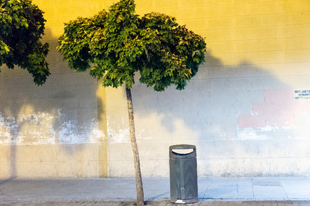 streets, monuments and old buildings of the town of Alcala de Henares, Spainの写真素材
