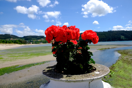 Coastal landscapes in the village of Cedeira on the coast of death. Galicia, Spainの写真素材
