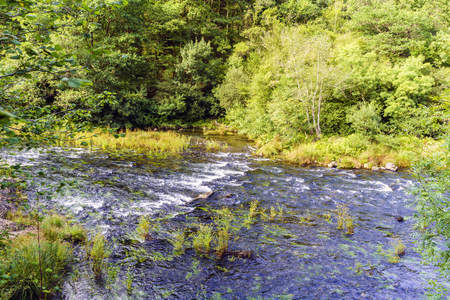 Strong currents of the river Eume in Galicia A very shallow mirror with plants protruding in the middle of the river, tree-covered shores in a typical atlantic landscape. Very relaxing landscapeの写真素材